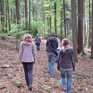 Lehrkräfte spazieren durch den Wald