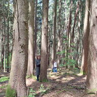 Schulleiterin Katja Listl schaut hinter einem Baum hervor