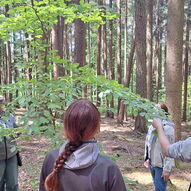 Lehrkräfte fühlen an den Blättern von Bäumen
